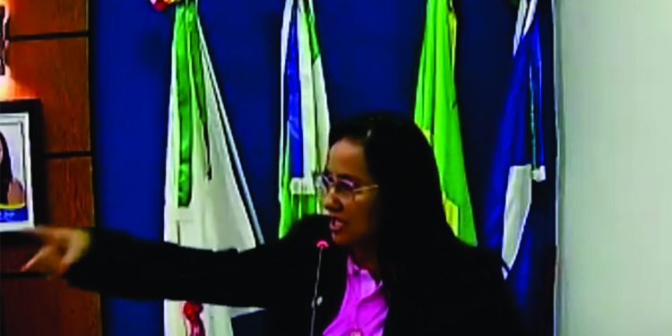 Câmara Municipal: presidente rebate críticos e lembra que é preciso fazer mais que ela