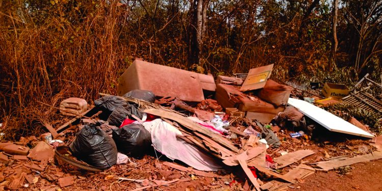 Necessidade urgente: recuperação ambiental em área verde importante Necessidade urgente: recuperação ambiental em área verde importante