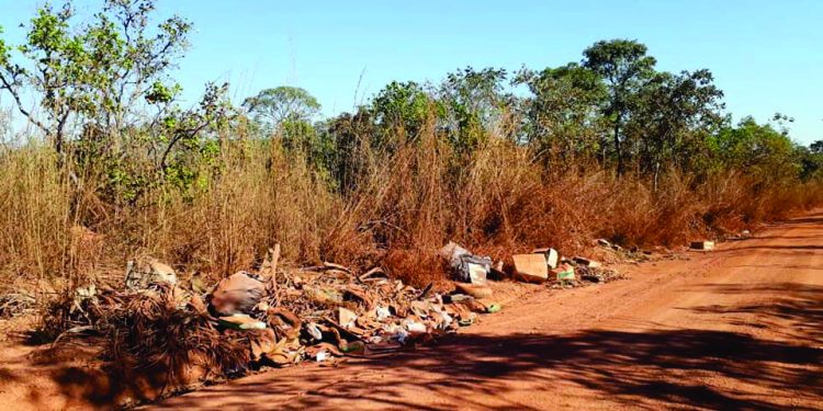 Limpeza urbana e retirada de entulhos