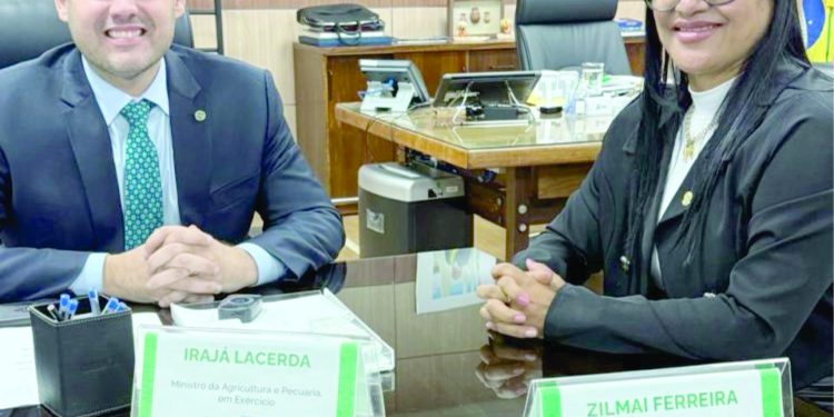 Em Brasília, vereadora de Nobres revela roteiro de visitações e aponta ampliação de novas possibilidades