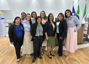 O Parlamento sob a ótica feminina