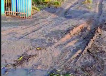 No Bairro da Torre, infraestrutura funciona na contramão e prejudica