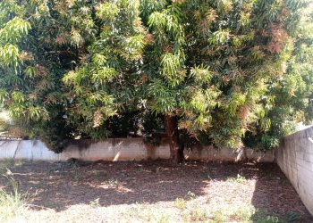 No bairro São José, diretoria comunitária segue engessada por entulhos autoritários e negligência