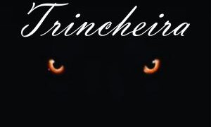 TRINCHEIRA (Fiscalização + que atuante) TRINCHEIRA (Fiscalização + que atuante)