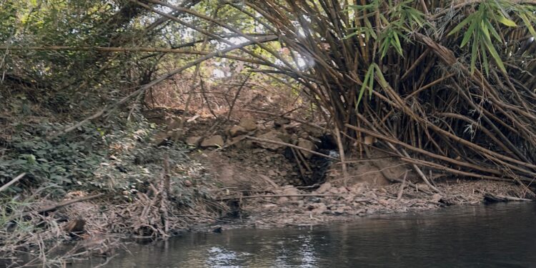Situação do Rio Nobres é alarmante e se junta aos problemas do Rio Serragem